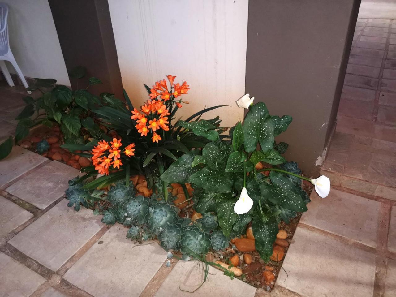 Aaa Rose Garden Guesthouse Mookgophong Kültér fotó